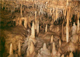 Spéléologie - Grottes De Fontirou - Salle Des Minarets - Détails - Potholing - Cave - CPM - Carte Neuve - Voir Scans Rec - Otros & Sin Clasificación