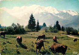 Animaux - Vaches - Panorama Sur La Chaine Du Mont Blanc Depuis Plaine-Joux - Montagnes - CPM - Voir Scans Recto-Verso - Vaches