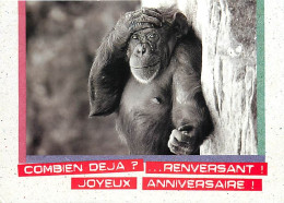 Animaux - Singes - Chimpanzé - Carte à Message - Collection A Demi Mots - CPM - Voir Scans Recto-Verso - Monkeys