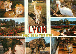 Animaux - Lyon - Parc De La Tête D'Or - Multivues - Zoo - Carte Dentelée - CPSM Grand Format - Voir Scans Recto-Verso - Andere & Zonder Classificatie
