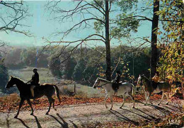 Animaux - Chevaux - Promenade équestre En Limousin - Flamme Postale - CPM - Voir Scans Recto-Verso - Horses