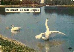 Animaux - Oiseaux - Cygnes - CPM - Voir Scans Recto-Verso - Oiseaux