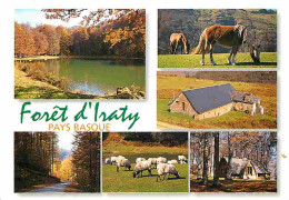 Animaux - Pays Basque - Foret D'Iraty - Chevaux - Moutons - Multivues - CPM - Voir Scans Recto-Verso - Andere & Zonder Classificatie