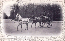 75 - PARIS Mondain - Nos Elegantes Au Bois - Autres & Non Classés