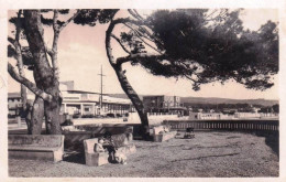 13 - Bouches Du Rhone -  LA CIOTAT - Pinede De La Plage - La Ciotat