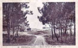 17 - Charente Maritime -  FOURAS Les BAINS  - L Entrée Du Bois De Pins - Fouras-les-Bains