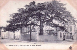17 - Charente Maritime -  LA ROCHELLE -  Le Cedre De La Rue Reaumur - La Rochelle