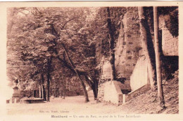 21 - Cote D Or -  MONTBARD -  Un Coin Du Parc Au Pied De La Tour Saint Louis - Montbard