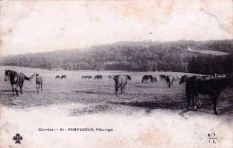 19 - Correze - POMPADOUR  - ARNAC  - Chevaux Au Paturage - Otros & Sin Clasificación