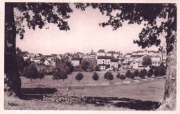 19 - Correze -  NEUVIC - D USSEL -  Vue Generale - Otros & Sin Clasificación