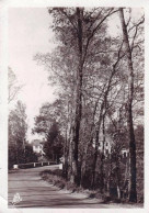 12 - Aveyron -  SAINTE GENEVIEVE Sur ARGENCE -  La Route Vers La Cadene Au Pont De Mels - Andere & Zonder Classificatie