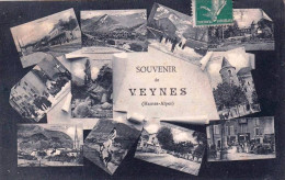 05 - Hautes Alpes -  Souvenir De VEYNES - Sonstige & Ohne Zuordnung