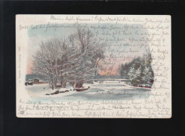 Winterlandschaft See Glitzer Eis Bäume Leipzig /Gunzenhausen 15. + 16.1.1901 - Contre La Lumière