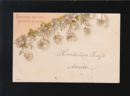 Liebliche Blumen, Heiteres Glück. Rufe Erinnerung.. Osterrath /Neuss 13.11.1900 - Contraluz