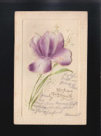 Große Blüte Lila Weiß, Herzlichen Glückwunsch, Gelaufen Österreich Um 1910 - Other & Unclassified