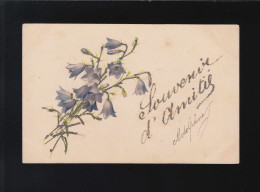 Strauß Glockenblumen Souvenir D'amitie, Ully-Saint-Georges /Creil 13.3.1904 - Hold To Light