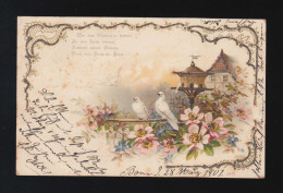 Tauben Blüten Wie Die Täubchen Flattern In Den Lenz, Bonn/Paderborn 28.3.1901 - Contre La Lumière