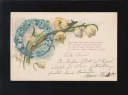 Ein Kranz Aus Blauen Vergissnichtmein Blumen Kranz, Sittensen /Zeven 6.+7.2.1901 - Tegenlichtkaarten, Hold To Light