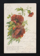 Rote Blumen Blüten Nicht Lange Worte Will Heute Machen, Hoya/Magelsen 17.5.1901 - Contraluz