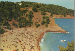 Cavalaire-sur-Mer - Plage De Bon Porteau - (P) - Cavalaire-sur-Mer