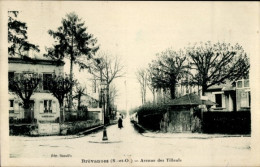 CPA Brévannes Val De Marne, Avenue Des Tilleuls - Sonstige & Ohne Zuordnung