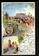 Lithographie Nürnberg, Ortsansicht Mit Burg  - Nürnberg