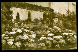 1035 - BELGIQUE - FLORALIES GANTOISE 1938 - Gent