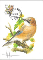 CM/MK° - Geai Des Chênes / Eiken Gaai / Eichenhäher / Oak Jay - BXL-BSL - 27-9-93 - SIGNÉ/GETEKEND - BUZIN - 1985-.. Birds (Buzin)