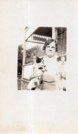 Photographie Vintage Photo Snapshot Chien Dog Chat Cat  - Andere & Zonder Classificatie