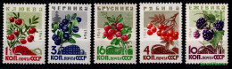 1964  USSR  CCCP   Mi 2996-3000  MNH/** - Ongebruikt