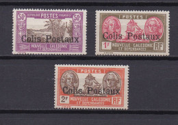 NOUVELLE-CALEDONIE 1930 COLIS-POSTAUX N°4/6 NEUF AVEC CHARNIERE - Other & Unclassified