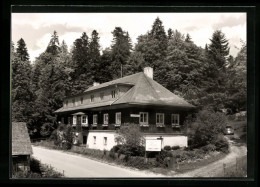 AK Zwiesel, Zwieseler Waldhaus, Pension Illner  - Zwiesel