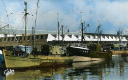 CPSM  LORIENT - Le Port De Pêche. - Lorient