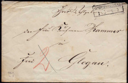 Preussen 1861 Brief SCHREIBERHAU R2 (Schlesien) Nach GLOGAU Inhalt (23467 - Sonstige & Ohne Zuordnung