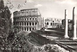 ITALIE - Roma - Colosseo - Vue De L'extérieure - Edizione Belvedere - Carte Postale Ancienne - Colisée