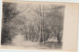 CPA - 28 - CHARTRES - Collège De Jeunes Filles - Vue Du Parc -  Vers 1905 - Chartres