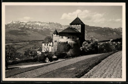 AK Vaduz, Schloss Mit Anliegenden Feldern  - Liechtenstein