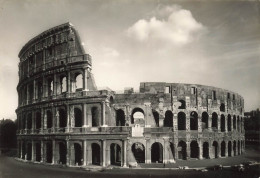 ITALIE - Roma - II Colosseo - The Coliseum - Le Colisée - Das Kolosseum - Animé - Carte Postale Ancienne - Colosseo