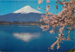 Japon - Mont Fuji - Lake Kawaguchi And Cherry Blossoms - Nippon - Japan - CPM - Voir Scans Recto-Verso - Other & Unclassified