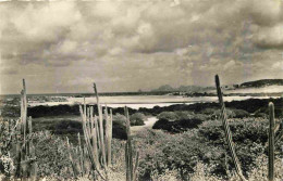 Martinique - Le Diamant - Vue Générale - Mention Photographie Véritable - Carte Dentelée - CPSM Format CPA - Voir Scans  - Autres & Non Classés