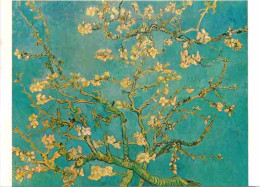 Art - Peinture - Vincent Van Gogh - Rameau D'amandier En Fleurs - Bloeiende Amandeltak - Van Gogh Nnuseum Amsterdann - C - Schilderijen