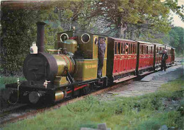 Trains - Royaume Uni - Dolgoch With Typical 1860s Train At Brynglas Station - CPM - UK - Voir Scans Recto-Verso - Treinen