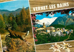 66 - Vernet Les Bains - Multivues - Chevreuil - CPM - Voir Scans Recto-Verso - Andere & Zonder Classificatie