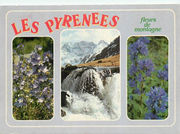 65 - Hautes Pyrénées - Multivues - CPM - Voir Scans Recto-Verso - Autres & Non Classés