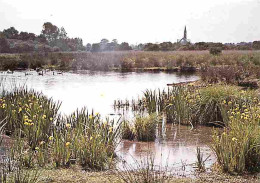 44 - Brière - Parc Naturel Régional De Brière Au Printemps - Carte Neuve - CPM - Voir Scans Recto-Verso - Autres & Non Classés