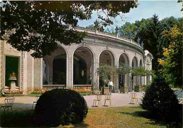 03 - Vichy - La Source Des Célestins - CPM - Voir Scans Recto-Verso - Vichy