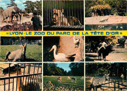 Animaux - Lyon - Parc De La Tête D'Or - Multivues - Zoo - CPM - Carte Neuve - Voir Scans Recto-Verso - Other & Unclassified