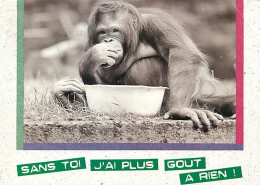 Animaux - Singes - Orang-Outan - Carte à Message - Collection A Demi Mots - Voir Timbre - CPM - Voir Scans Recto-Verso - Monkeys