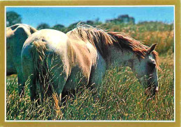 Animaux - Chevaux - La Passion Du Cheval - Photo Serge Farissier - Carte Neuve - Voir Scans Recto Verso  - Horses