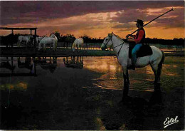 Animaux - Chevaux - Camargue - La Manade Au Coucher Du Soleil - Gardian - CPM - Voir Scans Recto-Verso - Horses